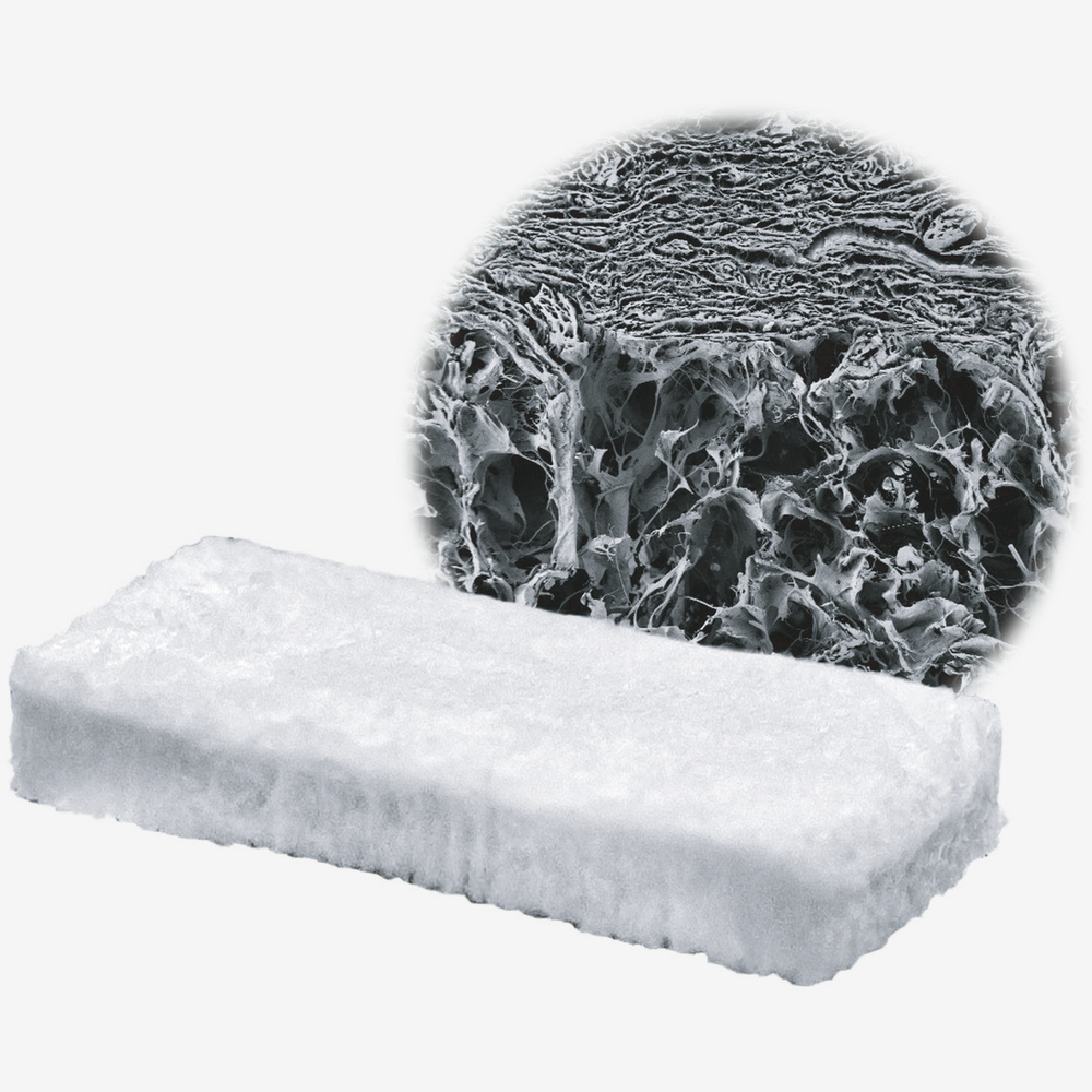 Collagen Graft x1D